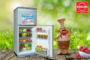 Những căn bệnh thường gặp của tủ lạnh