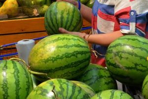 Cách lựa dưa hấu ngon cho ngày tết