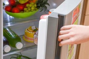 7 tác hại khi quên đóng cửa tủ lạnh bạn cần biết để tránh