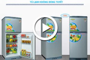 Video tủ lạnh Darling