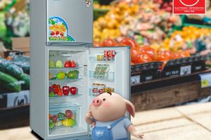 Bạn nên mua tủ lạnh nào nếu như thời gian đi chợ của bạn không nhiều?